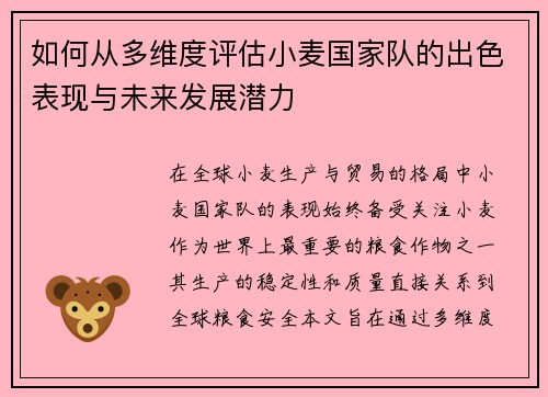 如何从多维度评估小麦国家队的出色表现与未来发展潜力