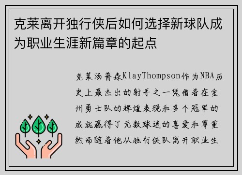 克莱离开独行侠后如何选择新球队成为职业生涯新篇章的起点