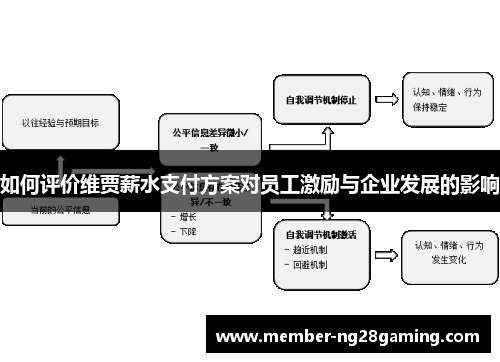 如何评价维贾薪水支付方案对员工激励与企业发展的影响