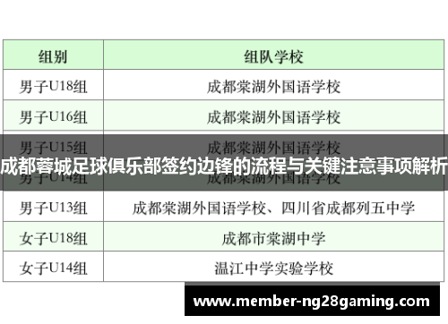 成都蓉城足球俱乐部签约边锋的流程与关键注意事项解析