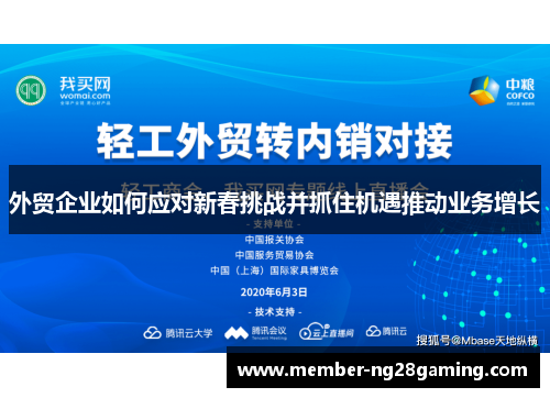 外贸企业如何应对新春挑战并抓住机遇推动业务增长
