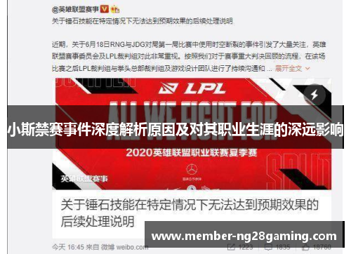 小斯禁赛事件深度解析原因及对其职业生涯的深远影响