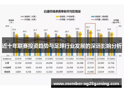 近十年联赛投资趋势与足球行业发展的深远影响分析