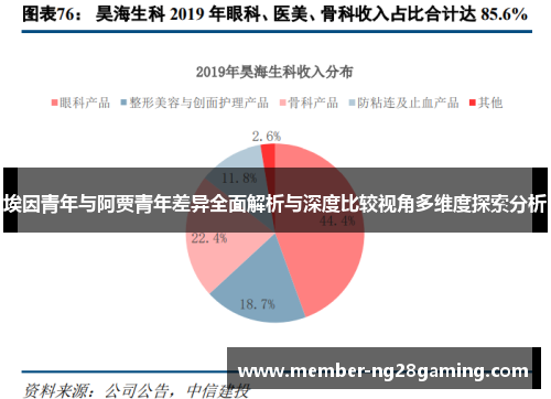 埃因青年与阿贾青年差异全面解析与深度比较视角多维度探索分析