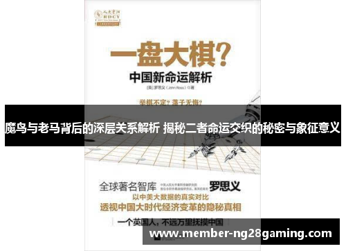 魔鸟与老马背后的深层关系解析 揭秘二者命运交织的秘密与象征意义