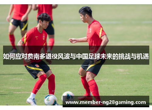 如何应对费南多退役风波与中国足球未来的挑战与机遇