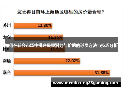 如何在转会市场中挑选最具潜力与价值的球员方法与技巧分析