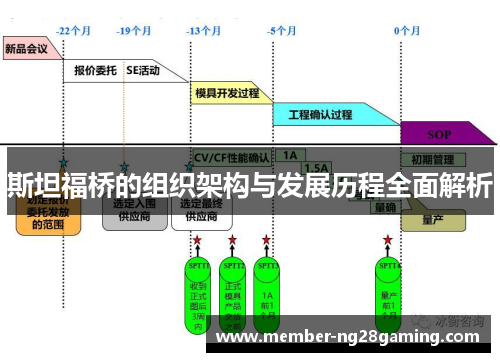 斯坦福桥的组织架构与发展历程全面解析 斯坦福桥的组织架构与发展历程全面解析