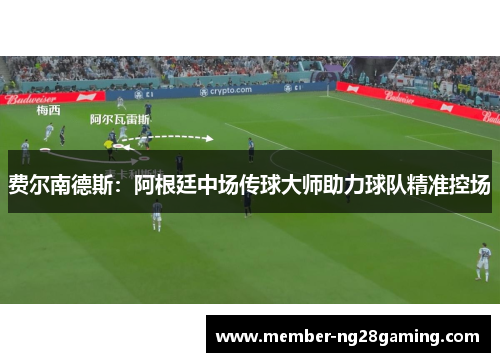费尔南德斯：阿根廷中场传球大师助力球队精准控场