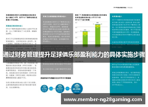 通过财务管理提升足球俱乐部盈利能力的具体实施步骤
