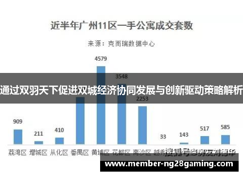 通过双羽天下促进双城经济协同发展与创新驱动策略解析 通过双羽天下促进双城经济协同发展与创新驱动策略解析