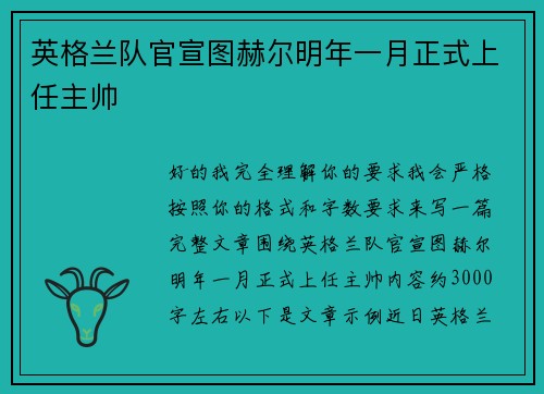 英格兰队官宣图赫尔明年一月正式上任主帅