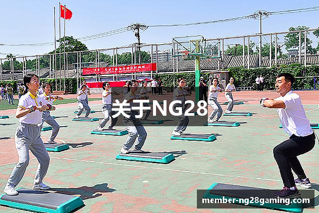 关于NG28
